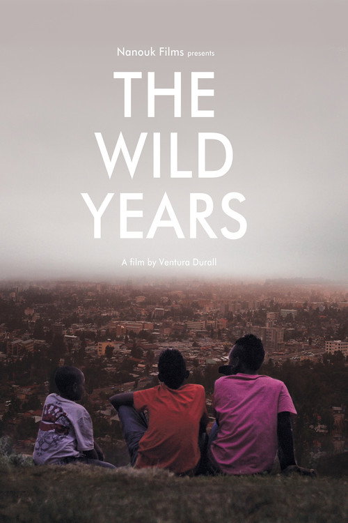 Movie poster for The Wild Years (2013)