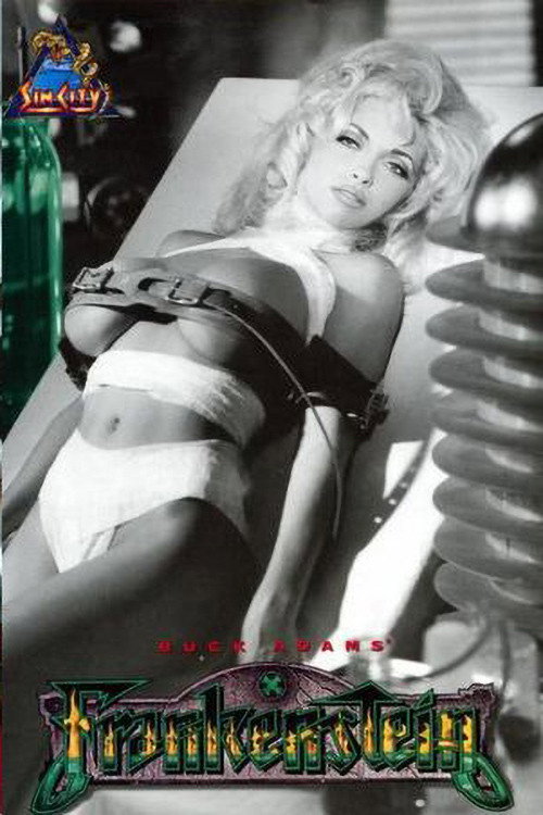Movie poster for Frankenstein (1994)