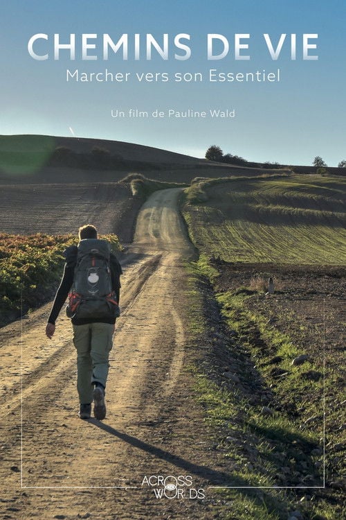 Movie poster for Chemins de vie (2020)
