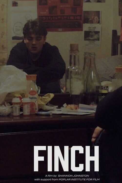 Movie poster for Finch