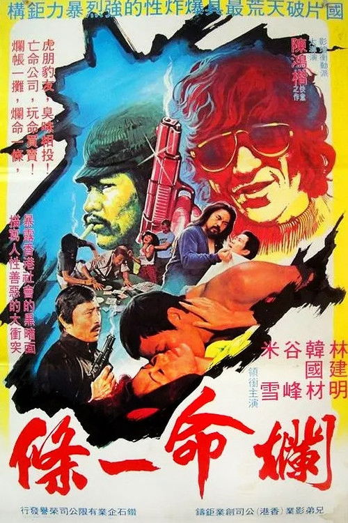 Movie poster for The Desperate Trio (1980)