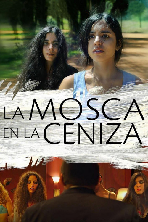 Movie poster for La mosca en la ceniza (2010)