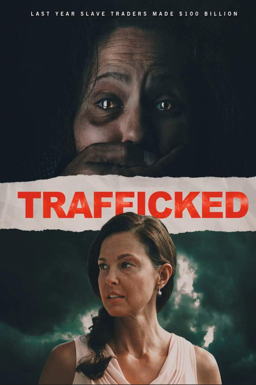 Movie poster for Trafficked (2017)