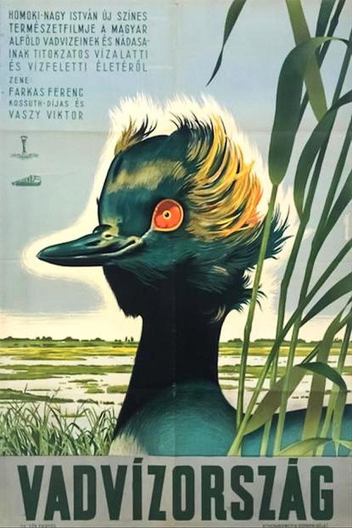 Movie poster for Vadvízország (1951)
