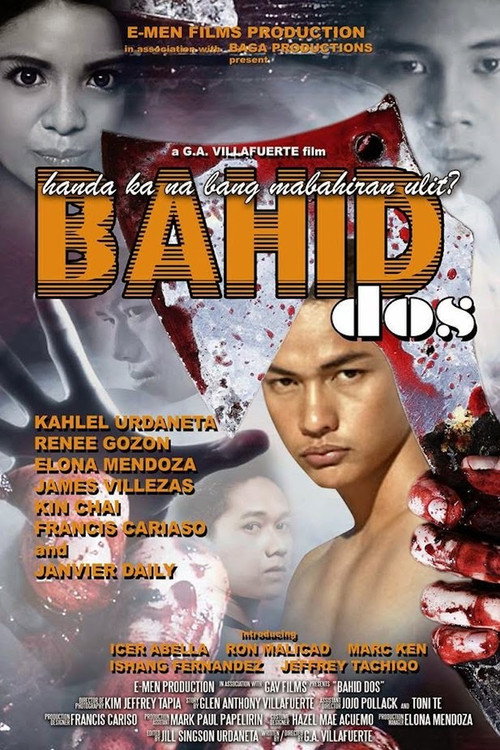 Movie poster for Bahid Dos (2013)