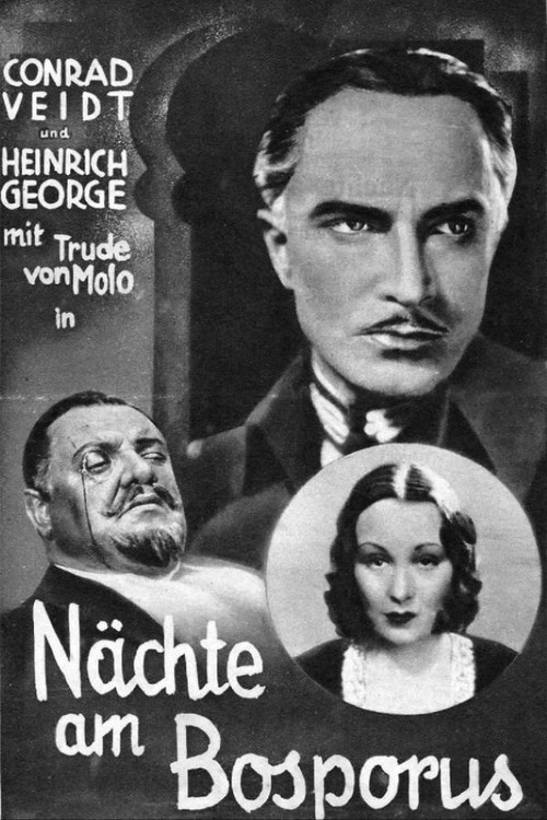 Movie poster for The Man Who Committed the Murder (1931)