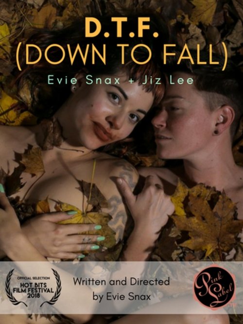 Movie poster for D.T.F. (Down to Fall) (2018)