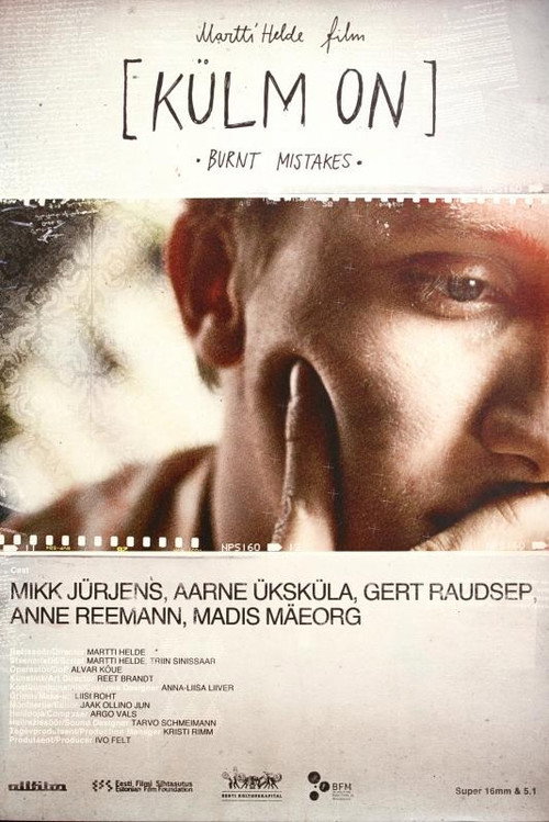 Movie poster for Burnt Mistakes (2010)
