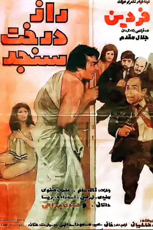 Movie poster for The secret of the oleaster tree (1972)