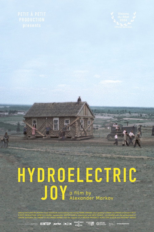 Movie poster for Hydroelectric Joy (2024)