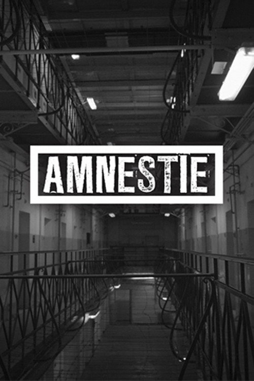 Movie poster for Amnesty (2019)
