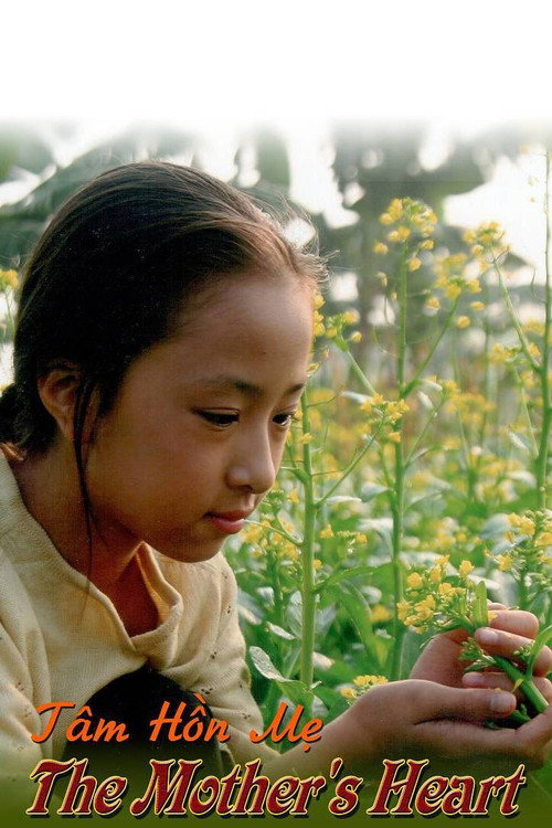 Movie poster for The Mother's Soul (2011)