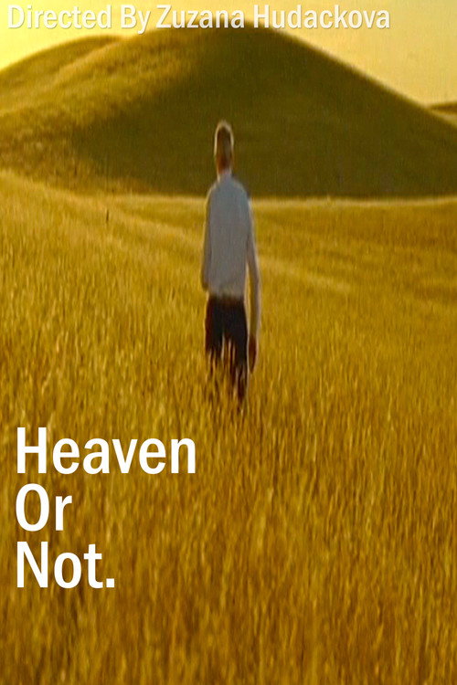 Movie poster for Heaven Or Not (2007)