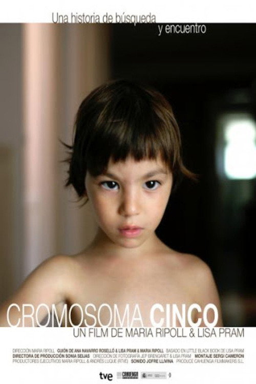 Movie poster for Cromosoma Cinco (2013)