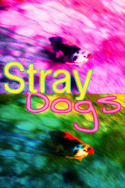 Movie poster for Stray Dogs (2014)