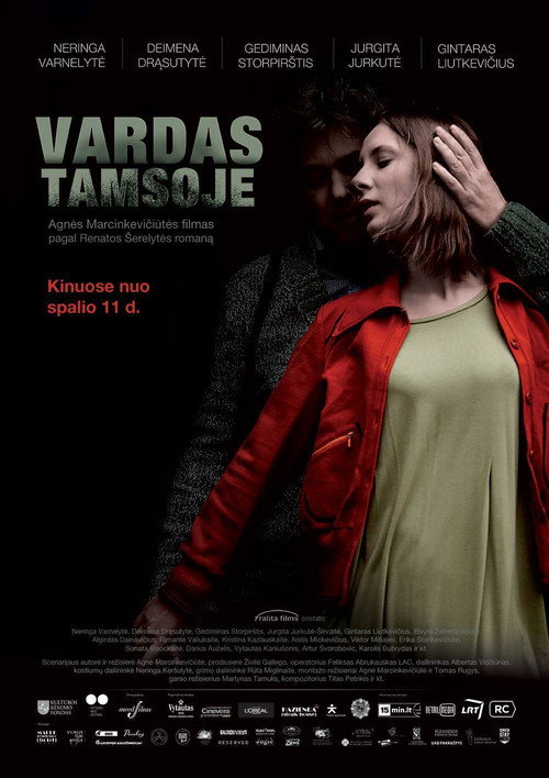Movie poster for Name in the Dark (2013)