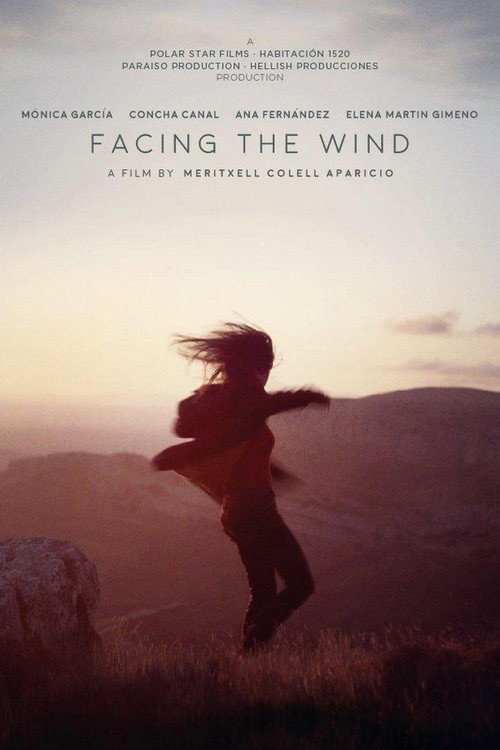 Movie poster for Facing the Wind (2018)