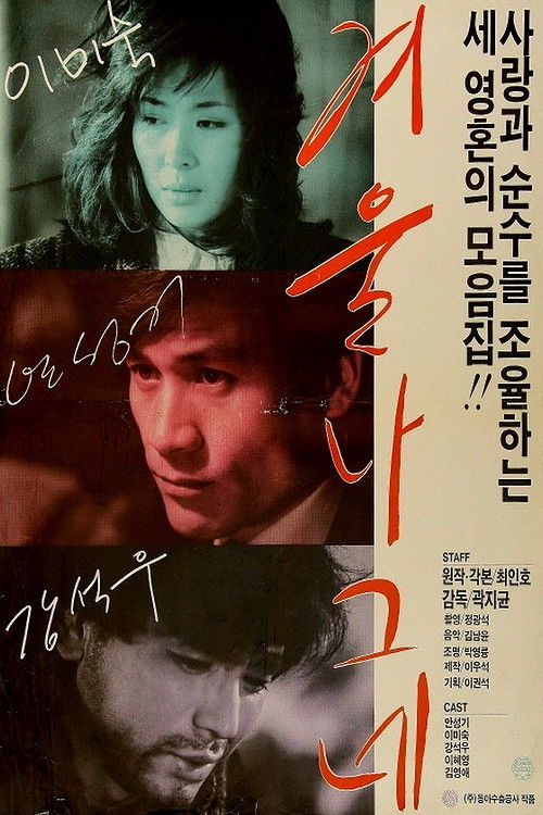 Movie poster for Winter Wanderer (1986)