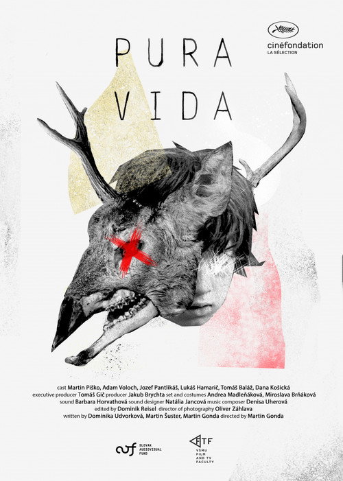 Movie poster for Pura Vida (2019)