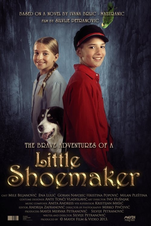 Movie poster for The Brave Adventures of a Little Shoemaker (2013)