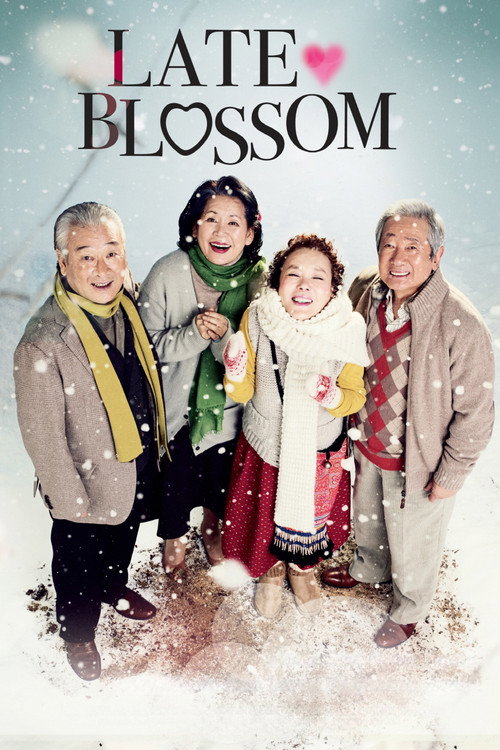 Movie poster for Late Blossom (2011)
