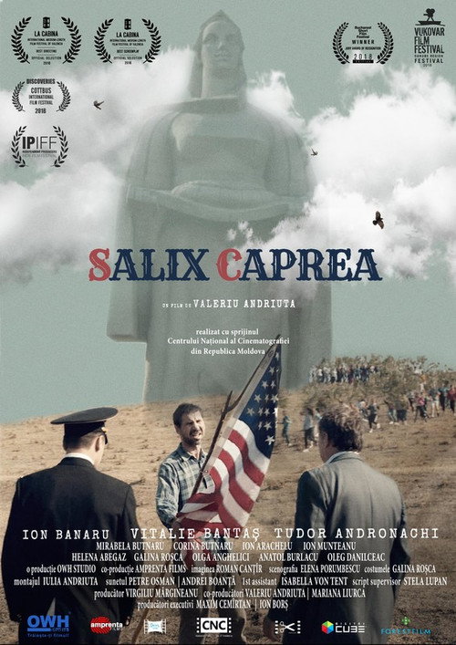 Movie poster for Salix Caprea (2018)