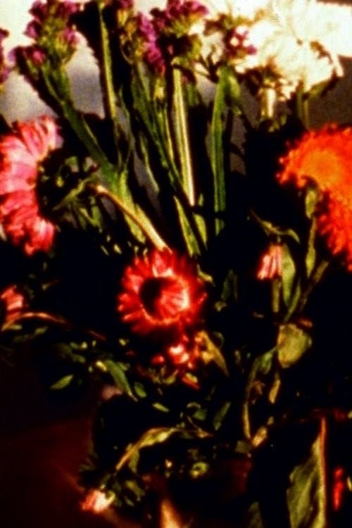 Movie poster for Time Being I – IV (2007)
