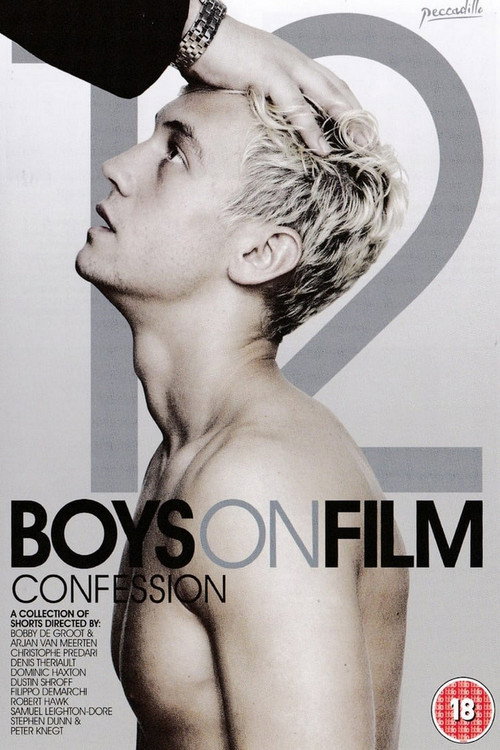 Movie poster for Boys on Film 12: Confession (2014)