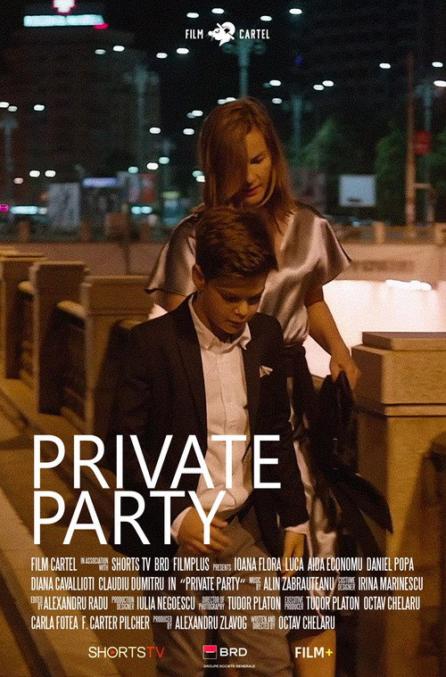 Movie poster for Private Party