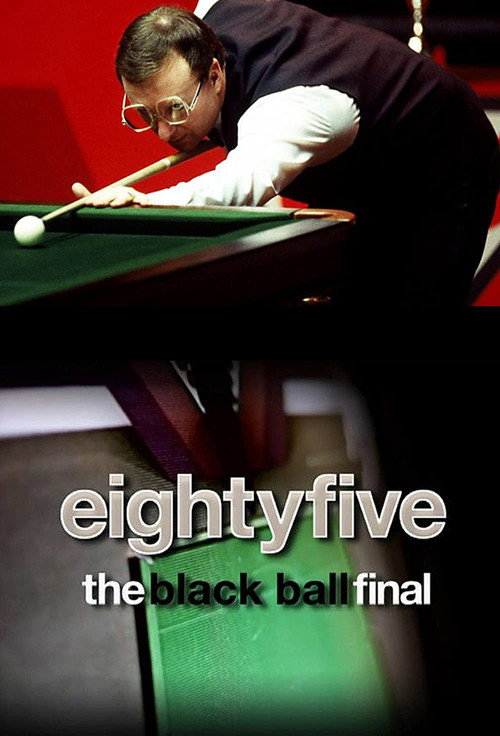 Movie poster for Davis v Taylor: The '85 Black Ball Final (2010)