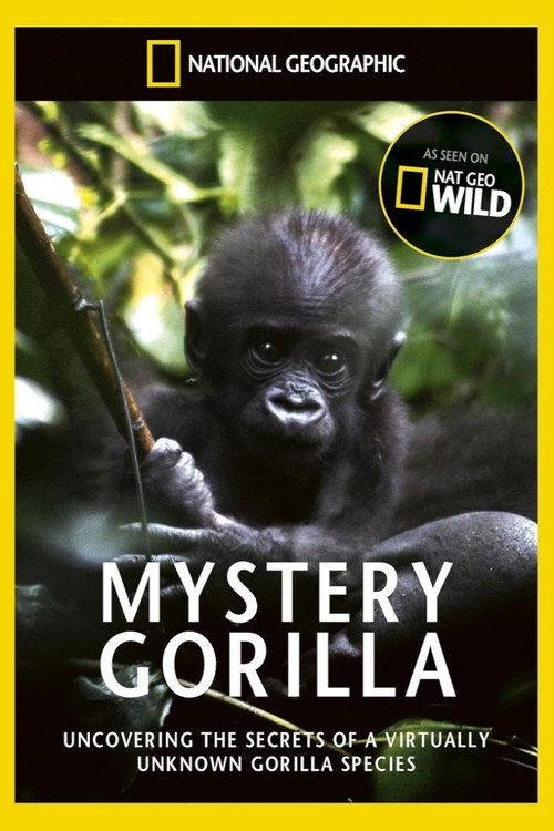 Movie poster for De mystiske gorillaer (2010)