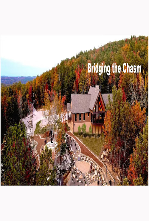 Movie poster for Bridging the Chasm (2022)
