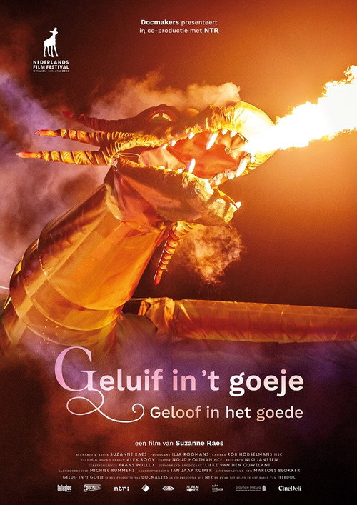Movie poster for Geluif in 't Goeje (2024)
