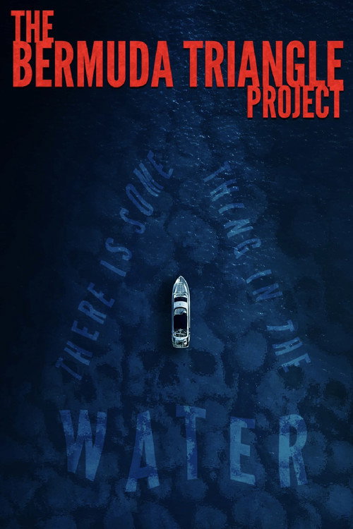 Movie poster for The Bermuda Triangle Project (2023)