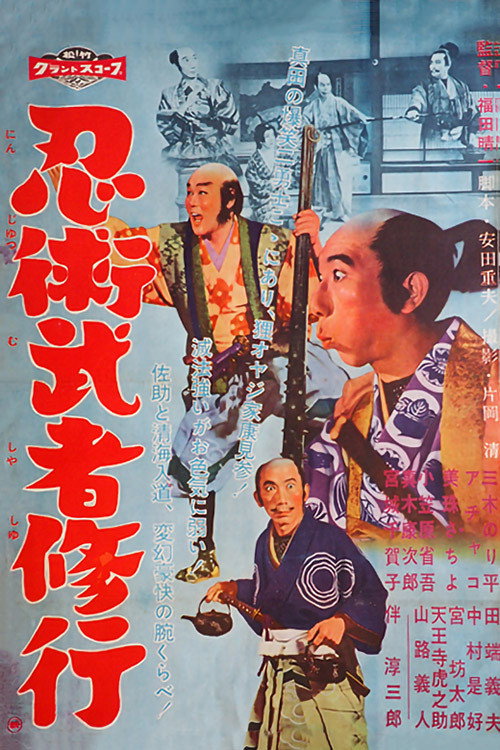 Movie poster for The Three Magicians (1960)