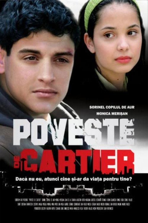 Movie poster for District Story (2008)