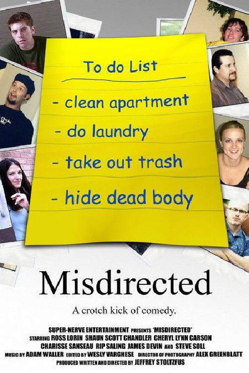Movie poster for Misdirected (2004)