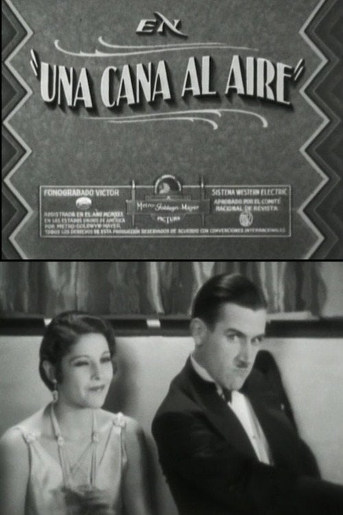 Movie poster for A gray in the air (1930)