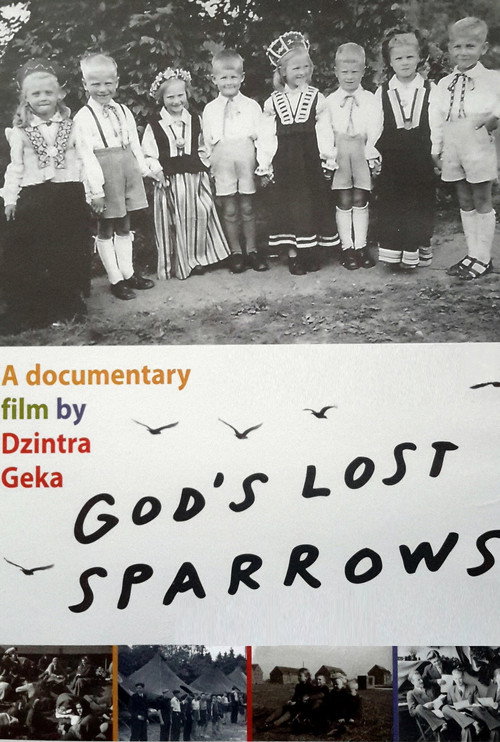 Movie poster for God's Lost Sparrows (2015)