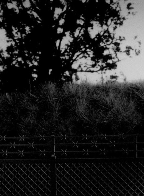 Movie poster for Arbor (2012)