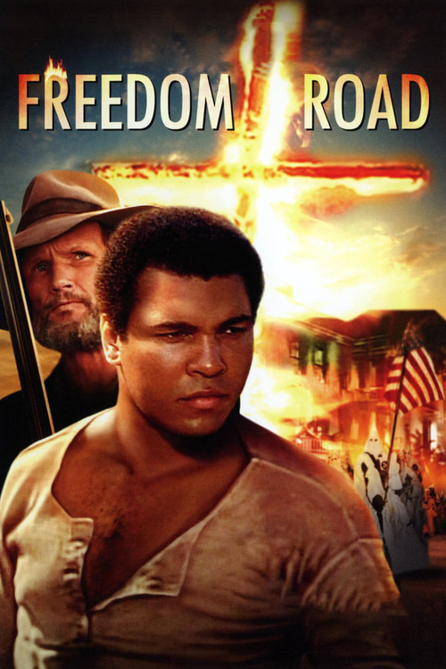 Movie poster for Freedom Road (1979)