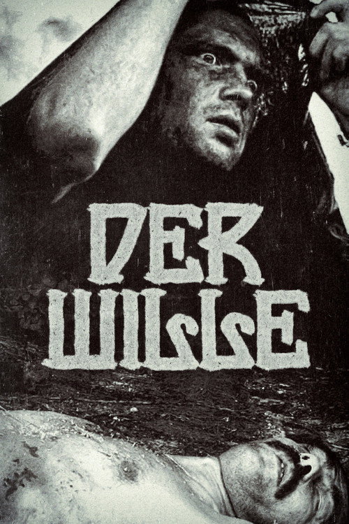 Movie poster for The Will (1994)