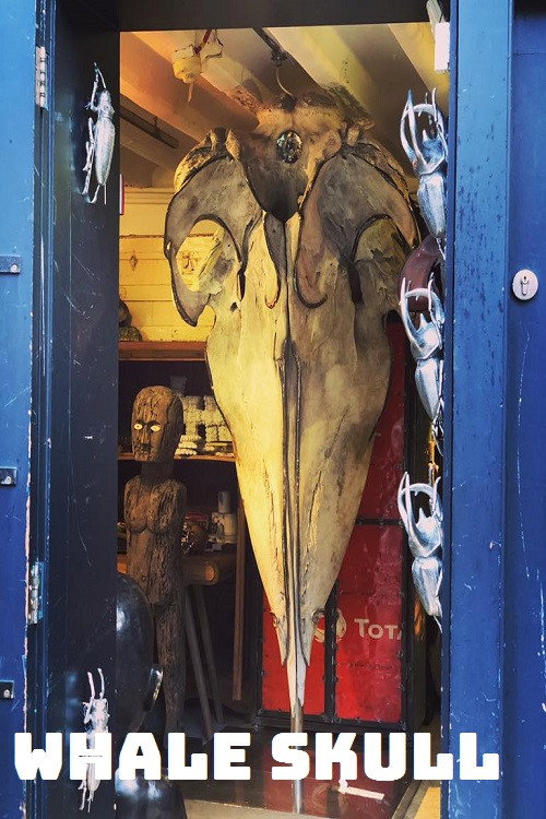 Movie poster for Whale Skull (2020)