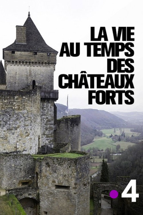 Movie poster for La vie au temps des châteaux forts (2018)