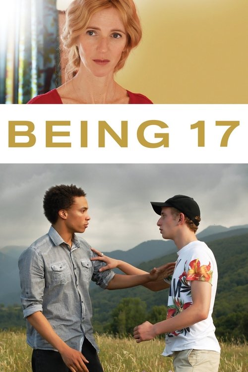 Movie poster for Being 17 (2016)