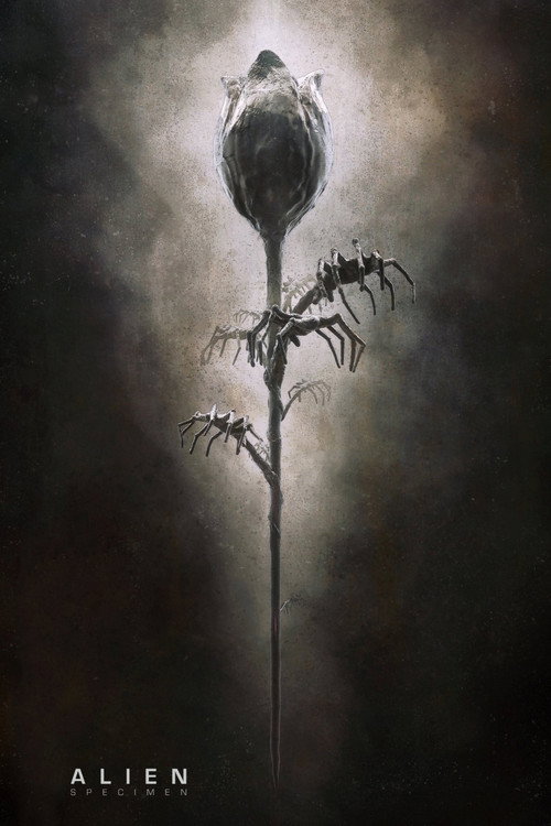 Movie poster for Alien: Specimen (2019)