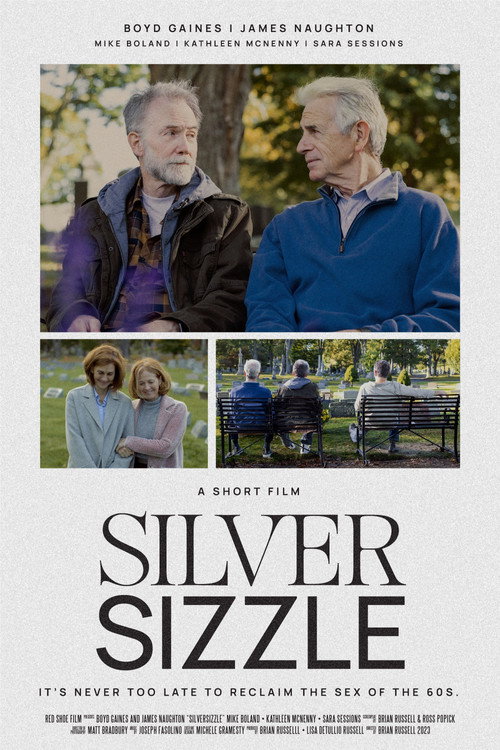 Movie poster for SilverSizzle (2024)