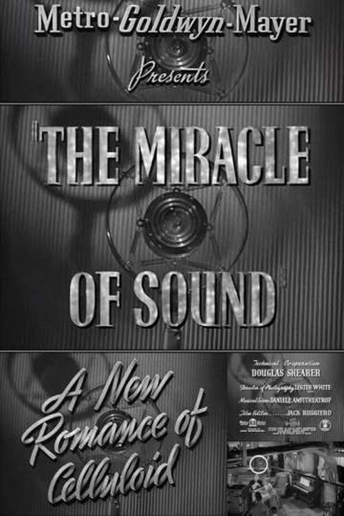 Movie poster for A New Romance of Celluloid: The Miracle of Sound (1940)