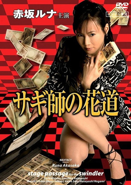 Movie poster for Stage Passage for the Swindler (2007)