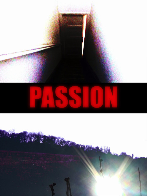 Movie poster for Passion (2025)